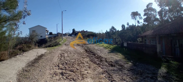Terreno Agricola ou Rústico para Venda em Lagares e Figueira