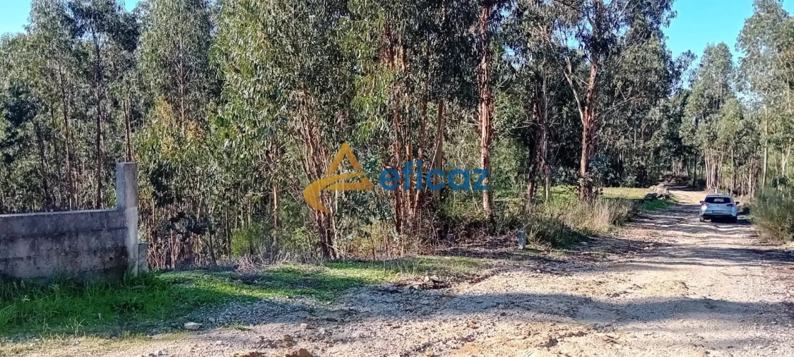 Terreno Agricola ou Rústico para Venda em Lagares e Figueira Foto 9