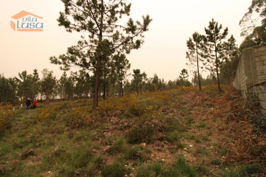 Terreno Misto para Venda em Sandim, Olival, Lever e Crestuma Foto 2