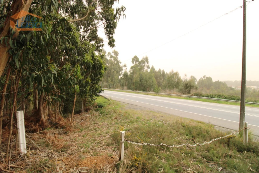 Terreno Misto para Venda em Sandim, Olival, Lever e Crestuma Foto 15