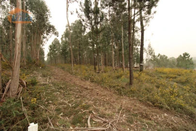 Terreno Misto para Venda em Sandim, Olival, Lever e Crestuma