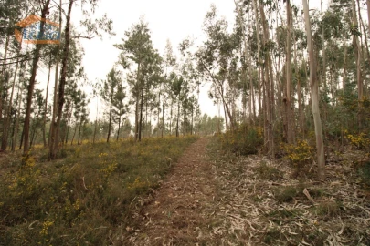Terreno Misto para Venda em Sandim, Olival, Lever e Crestuma