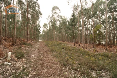 Terreno Misto para Venda em Sandim, Olival, Lever e Crestuma