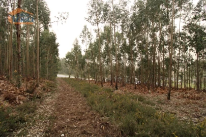 Terreno Misto para Venda em Sandim, Olival, Lever e Crestuma