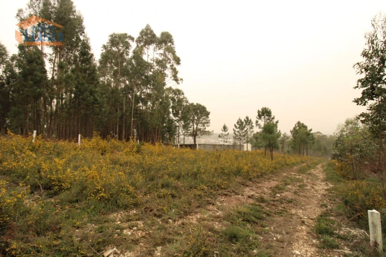 Terreno Misto para Venda em Sandim, Olival, Lever e Crestuma Foto 6
