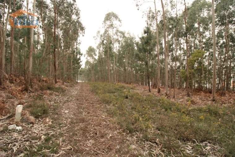 Terreno Misto para Venda em Sandim, Olival, Lever e Crestuma Foto 11