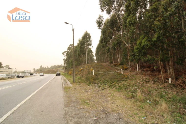 Terreno Misto para Venda em Sandim, Olival, Lever e Crestuma Foto 17