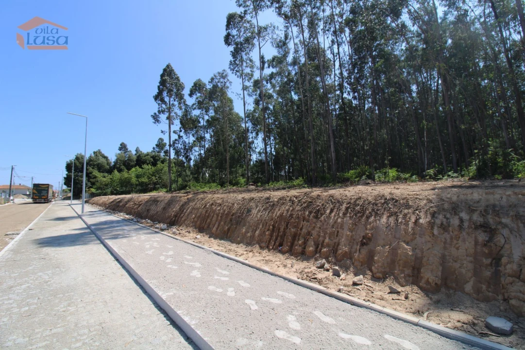 Terreno Agricola ou Rústico para Venda em Serzedo e Perosinho Foto 8