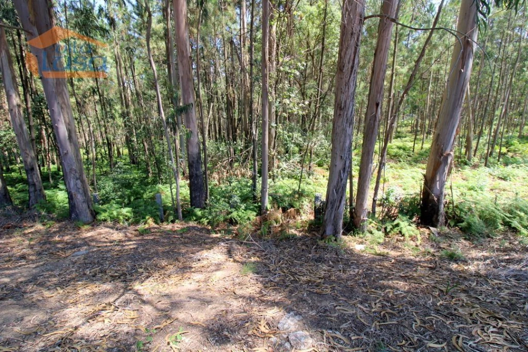 Terreno Agricola ou Rústico para Venda em Serzedo e Perosinho Foto 15