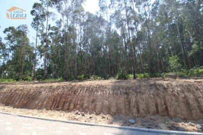 Terreno Agricola ou Rústico para Venda em Serzedo e Perosinho