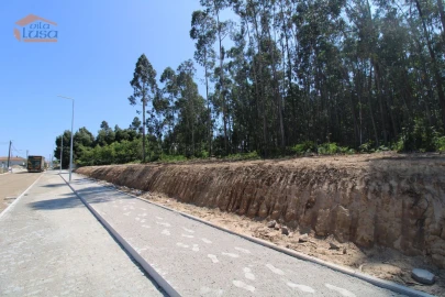Terreno Agricola ou Rústico para Venda em Serzedo e Perosinho