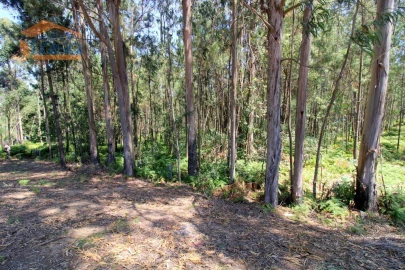Terreno Agricola ou Rústico para Venda em Serzedo e Perosinho