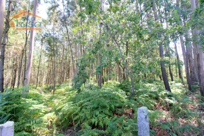 Terreno Agricola ou Rústico para Venda em Serzedo e Perosinho