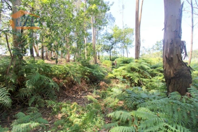 Terreno Agricola ou Rústico para Venda em Serzedo e Perosinho