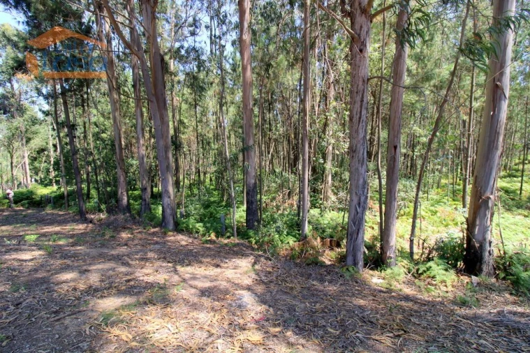 Terreno Agricola ou Rústico para Venda em Serzedo e Perosinho Foto 16