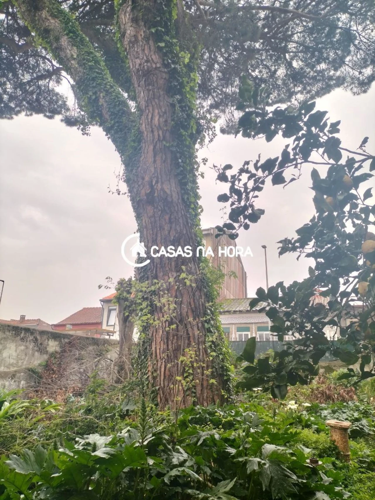 Terreno P/ Prédio para Venda em São Mamede de Infesta e Senhora da Hora Foto 9