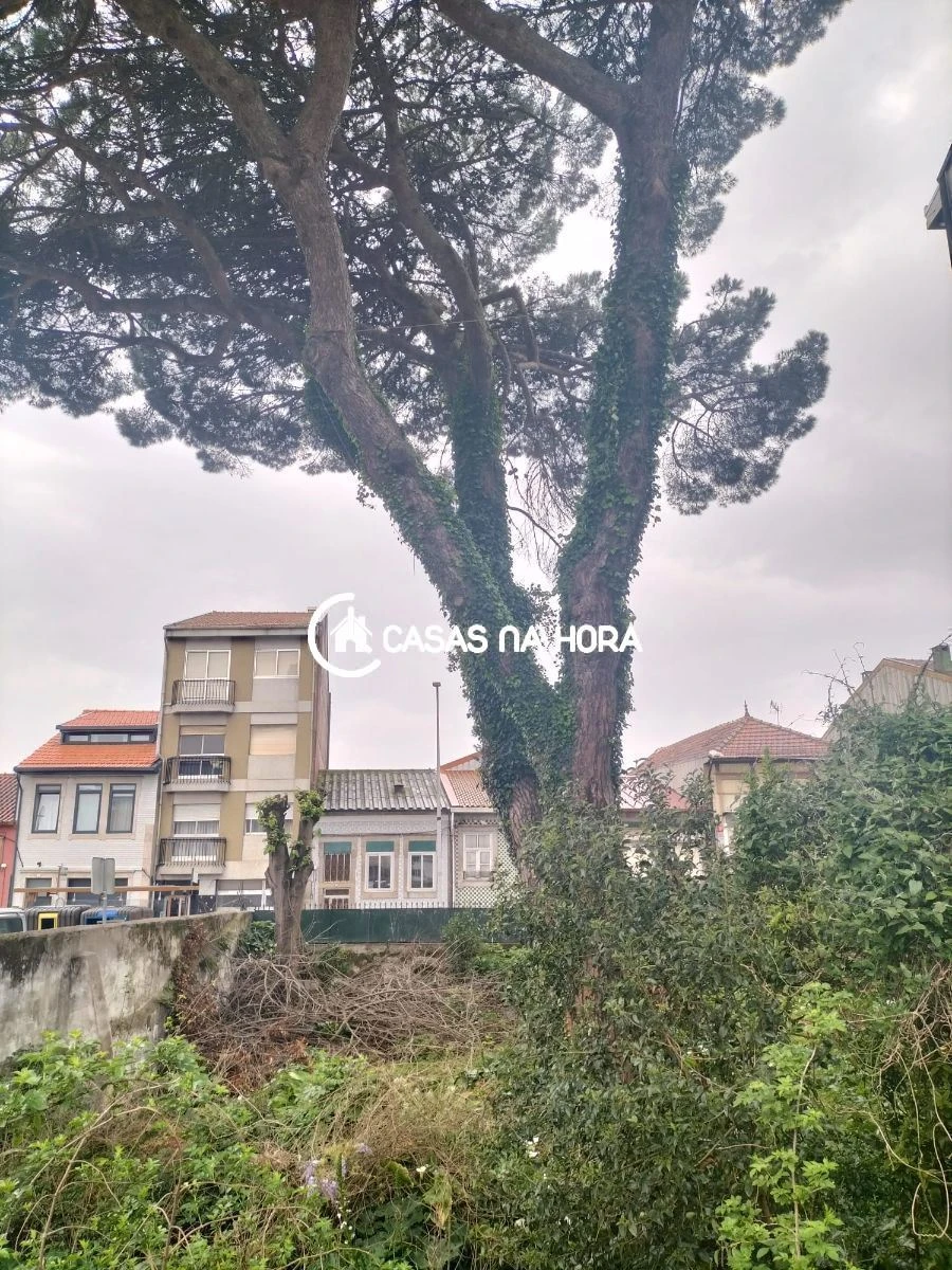 Terreno P/ Prédio para Venda em São Mamede de Infesta e Senhora da Hora Foto 7