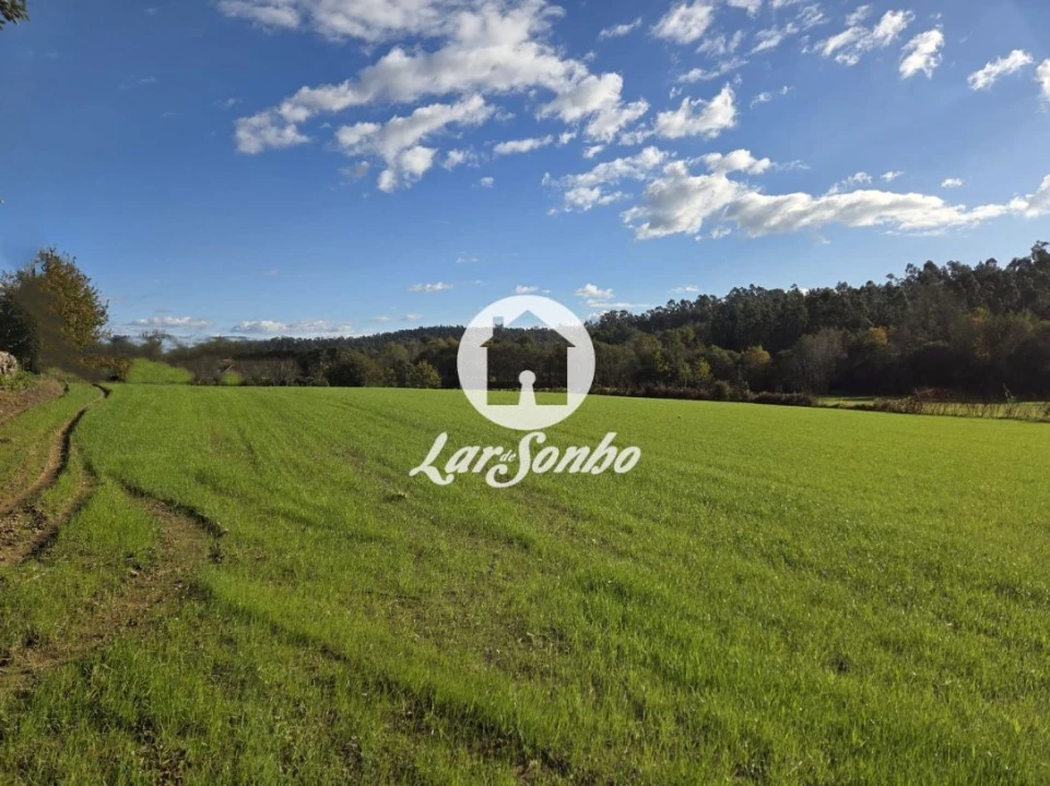 Moradia T4 para Venda em Panque Foto 2