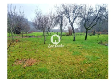 Moradia T4 para Venda em Panque