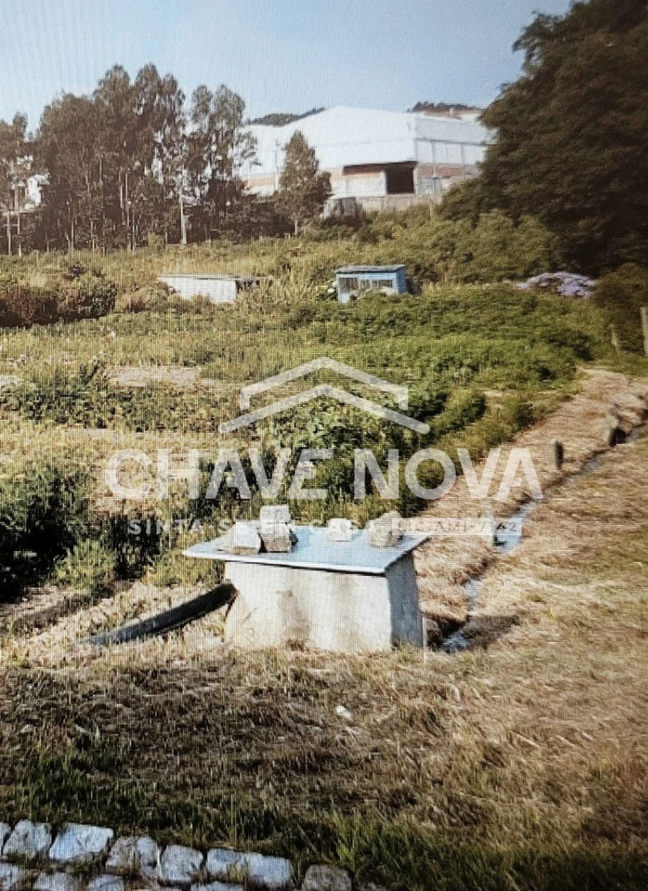 Terreno Agricola ou Rústico para Venda em Serzedo e Perosinho Foto 2