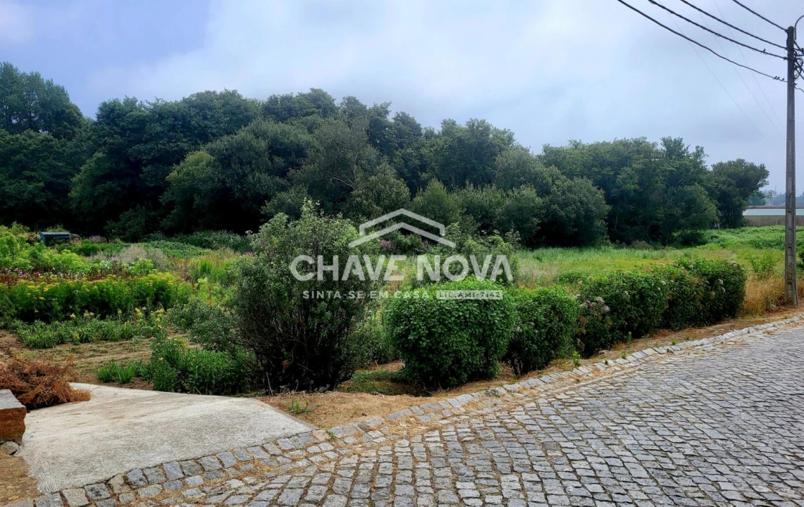 Terreno Agricola ou Rústico para Venda em Serzedo e Perosinho Foto 4