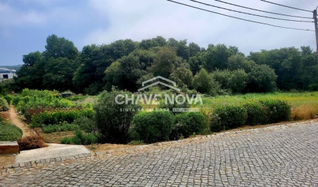 Terreno Agricola ou Rústico para Venda em Serzedo e Perosinho