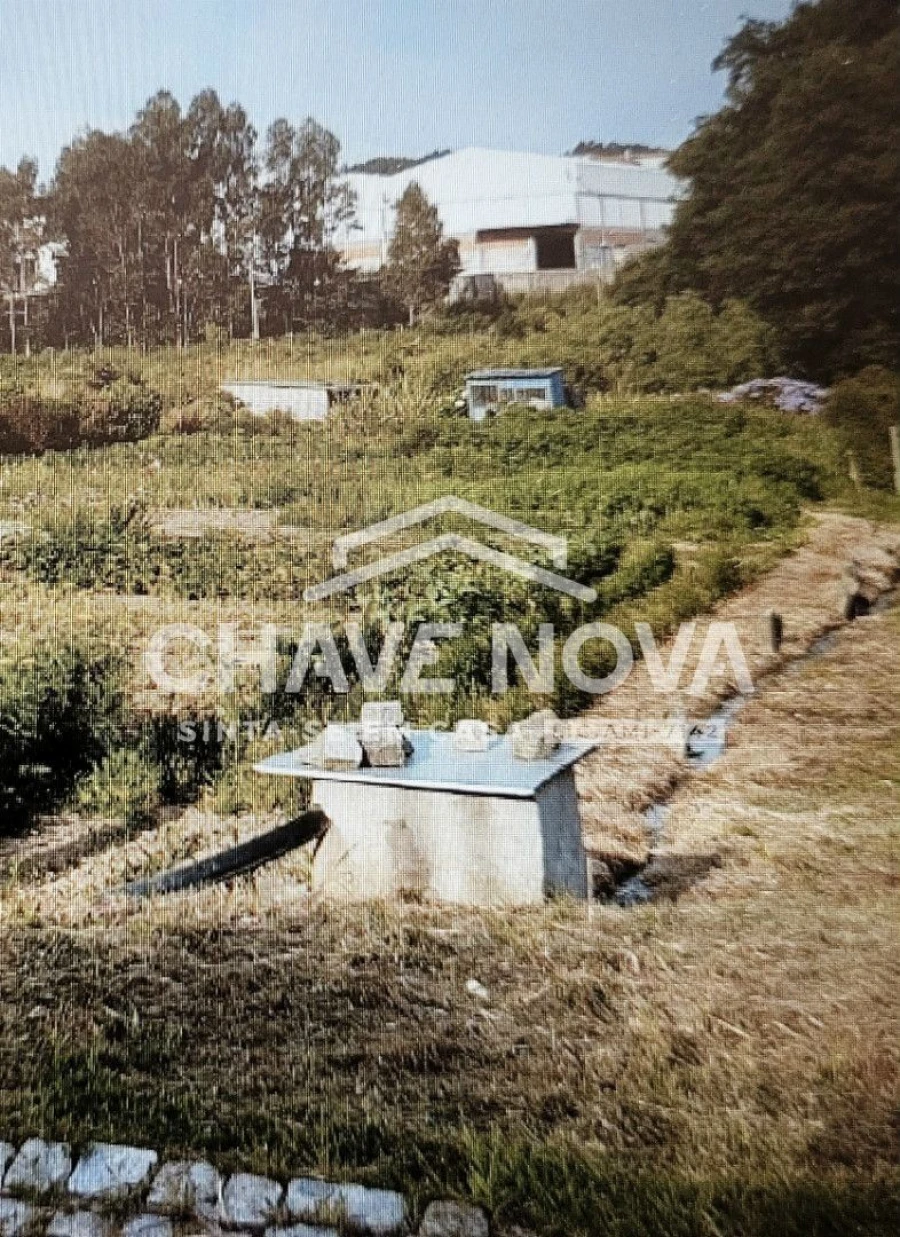 Terreno Agricola ou Rústico para Venda em Serzedo e Perosinho Foto 2
