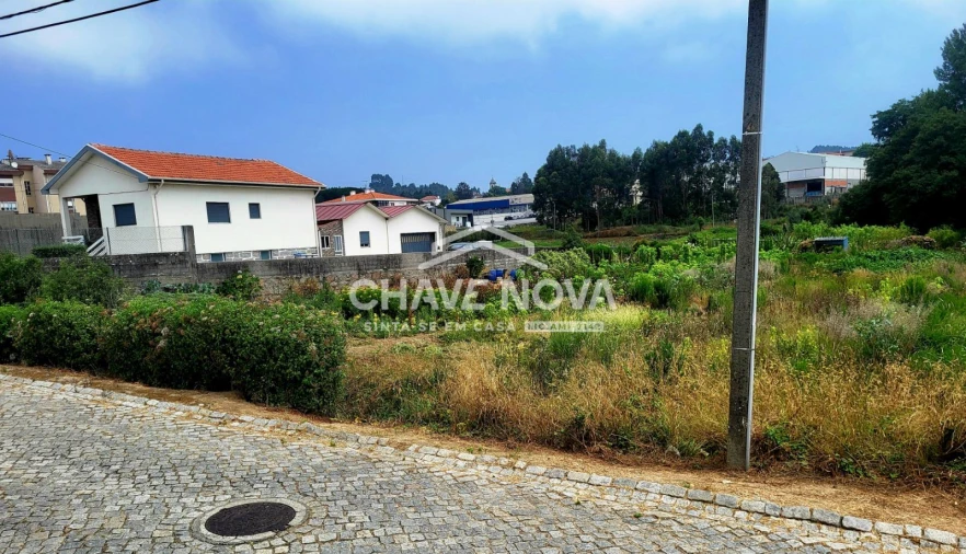 Terreno Agricola ou Rústico para Venda em Serzedo e Perosinho Foto 5