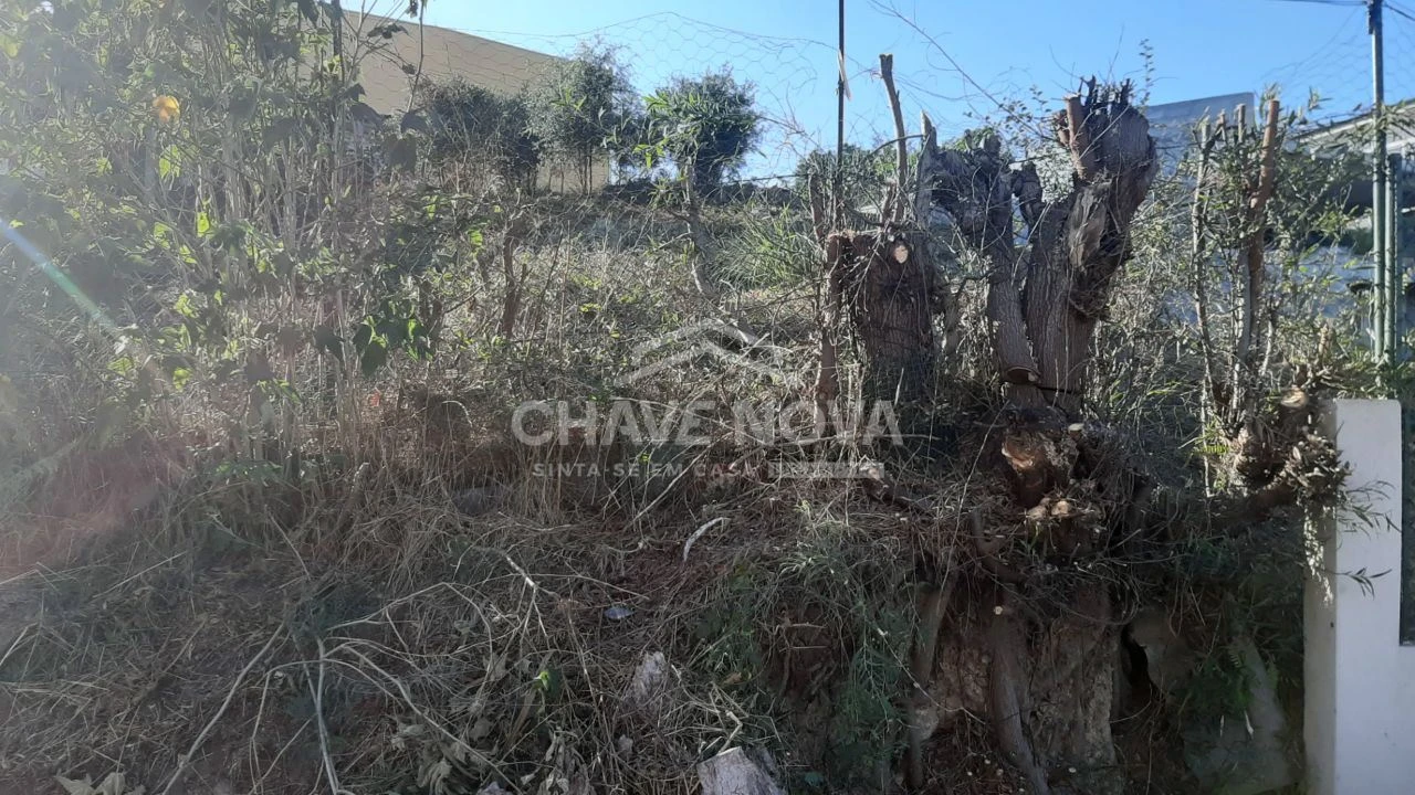 Terreno para Venda em Arcozelo Foto 5