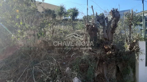 Terreno para Venda em Arcozelo
