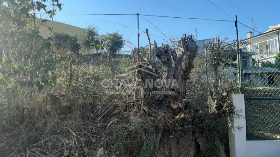 Terreno para Venda em Arcozelo