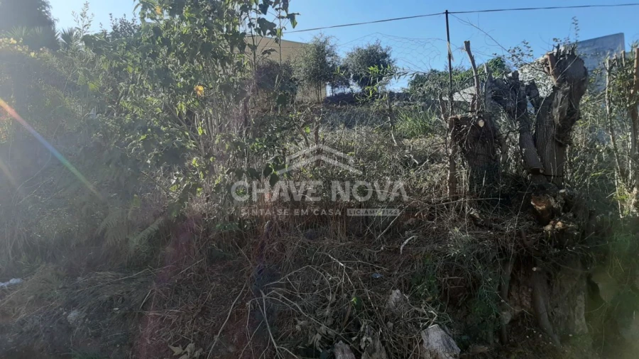 Terreno para Venda em Arcozelo Foto 6