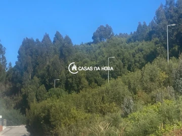 Terreno para Venda em Arcozelo