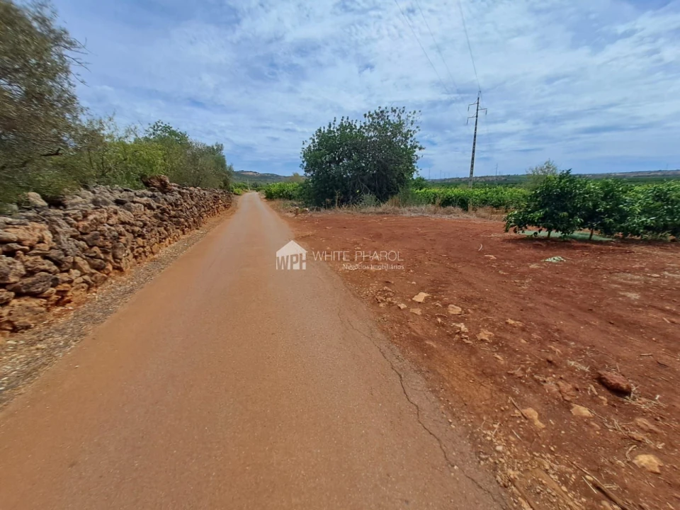 Terreno Agricola ou Rústico para Venda em Alcantarilha e Pêra Foto 1