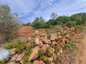 Terreno Agricola ou Rústico para Venda em Alcantarilha e Pêra