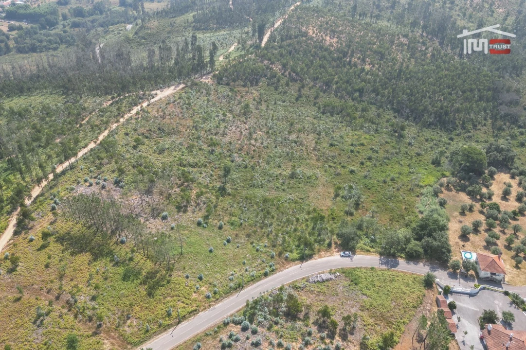 Terreno Misto para Venda em Alburitel Foto 8