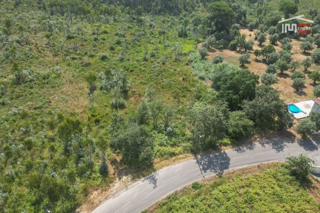 Terreno Misto para Venda em Alburitel Foto 11