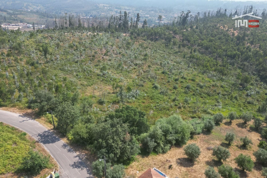 Terreno Misto para Venda em Alburitel Foto 12