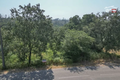 Terreno Misto para Venda em Alburitel