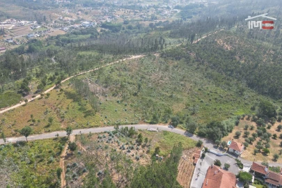 Terreno Misto para Venda em Alburitel