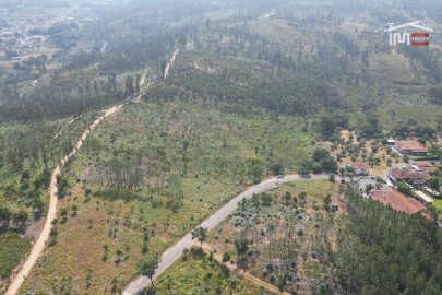 Terreno Misto para Venda em Alburitel