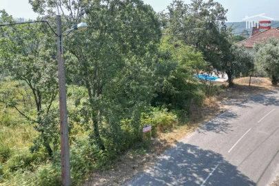 Terreno Misto para Venda em Alburitel