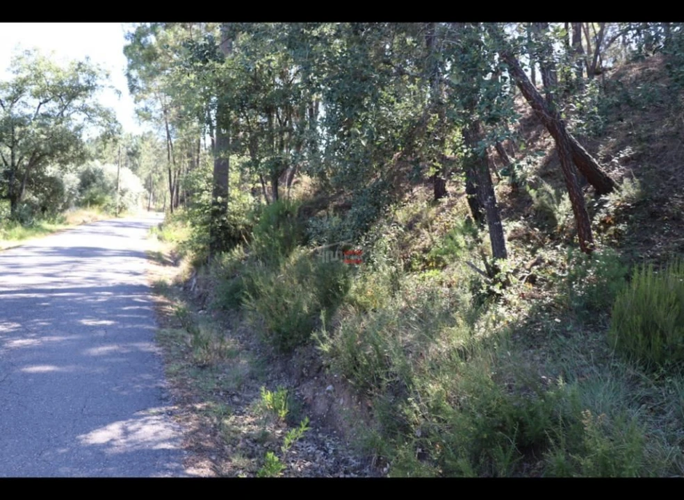 Terreno Misto para Venda em Alburitel Foto 4