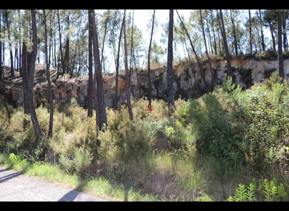 Terreno Misto para Venda em Alburitel Foto 7