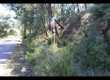 Terreno Misto para Venda em Alburitel