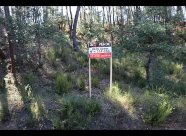 Terreno Misto para Venda em Alburitel