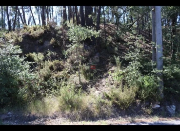 Terreno Misto para Venda em Alburitel