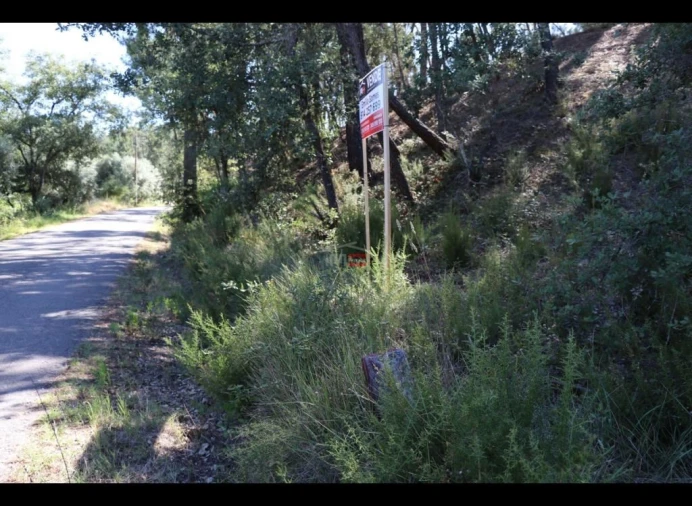 Terreno Misto para Venda em Alburitel