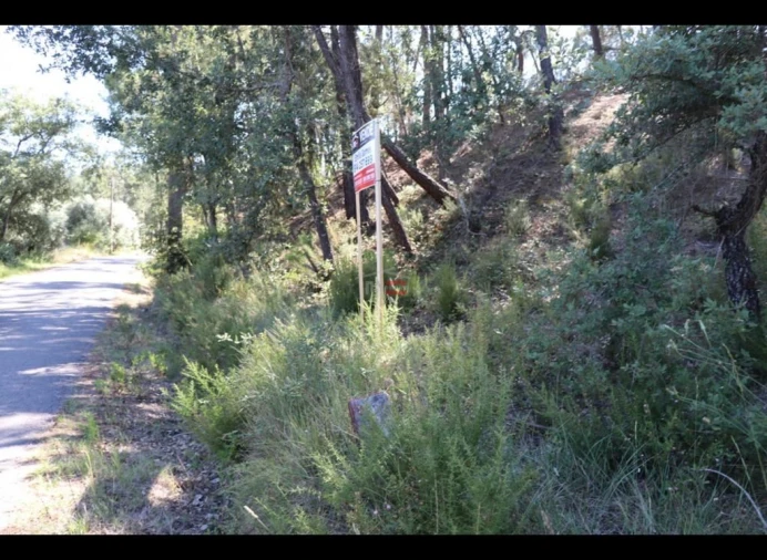 Terreno Misto para Venda em Alburitel Foto 3