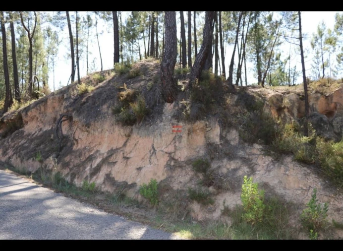 Terreno Misto para Venda em Alburitel Foto 8